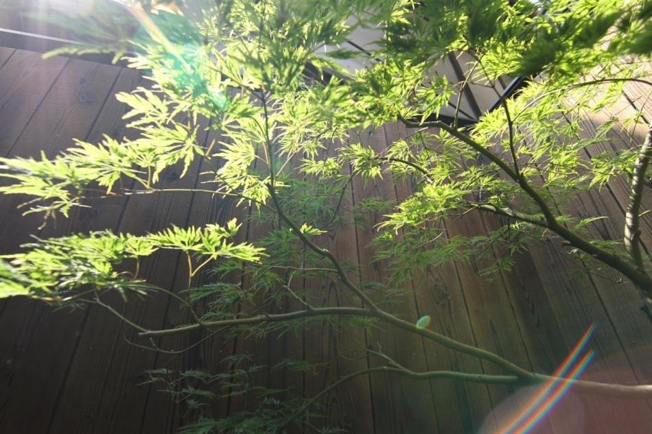 Willa Anzu An Machiya House Kioto Pokój zdjęcie